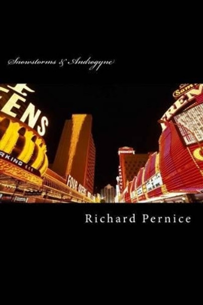 Snowstorms & Androgyne by Richard Pernice 9781493724437