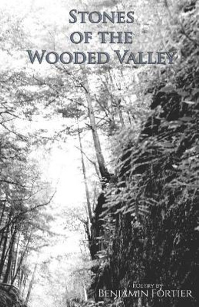 Stones of the Wooded Valley: Poetry by Benjamin Fortier by Benjamin Fortier 9781096039075