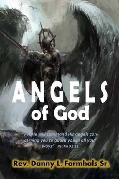 Angels of God by Danny L Formhals 9781505754339