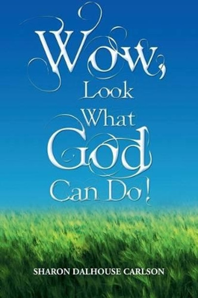 Wow, Look What God Can Do! by Sharon Dalhouse Carlson 9781479736898