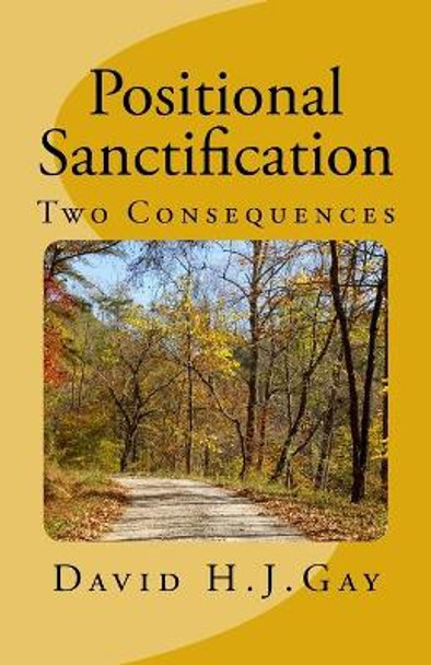 Positional Sanctification: Two Consequences by David H J Gay 9781516898442