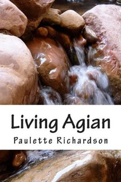 Living AAgain: Leaning to live again by Paulette L Richardson 9781511804707