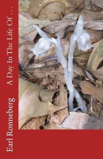 A Day In The Life Of . . . by Earl Ronneberg 9781519673169