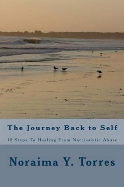 10 Steps to Healing after Narcissistic Abuse by Noraima Yarissa Torres 9781522842729