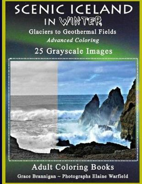 Scenic Iceland in Winter: Glaciers to Geothermal Fields: Advanced Coloring 25 Grayscale Images by Grace Brannigan 9781530319503