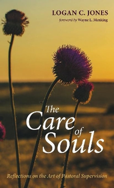 The Care of Souls by Logan C Jones 9781532673054