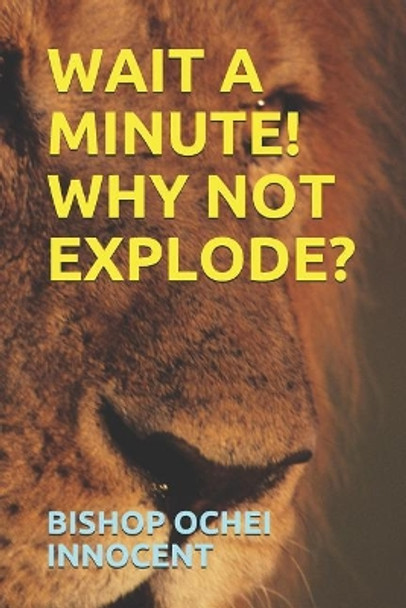 Wait a Minute! Why Not Explode? by Bishop Ochei Innocent 9781099350870