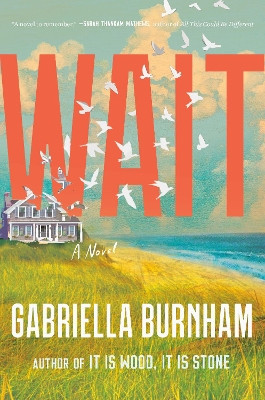 Wait: A Novel by Gabriella Burnham 9780593596500