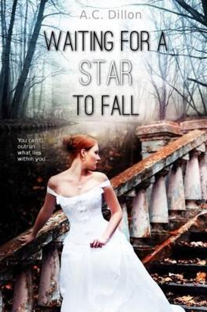 Waiting For A Star To Fall by A C Dillon 9781514202005