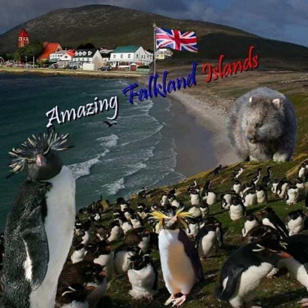 Amazing Falkland Islands by Naira Matevosyan 9781546829355