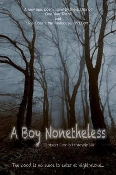 A Boy Nonetheless by Robert Denis Holewinski 9781532815881