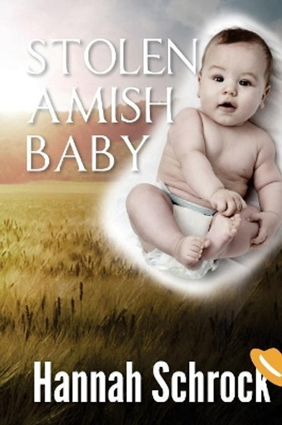 Stolen Baby Amish by Hannah Schrock 9781544021768