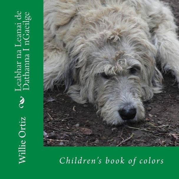 Leabhar Na Leanai de Dathanna I Ngaeilge: Children's Book of Colors by MR Willie Ortiz 9781542855204