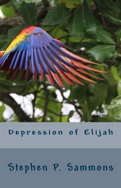 Depression of Elijah: On Depression and Renewal in Christian Service by Stephen P Sammons 9781540550057