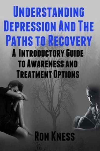 Understanding Depression and the Paths to Recovery: An Introductory Guide to Awareness and Treatment Options by Ron Kness 9781541169968