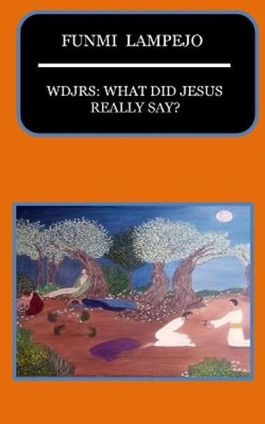 Wdjrs: What Did Jesus Really Say? by Funmi Lampejo 9781537494319