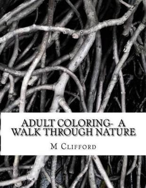 Coloring_1 by M Clifford 9781534604766