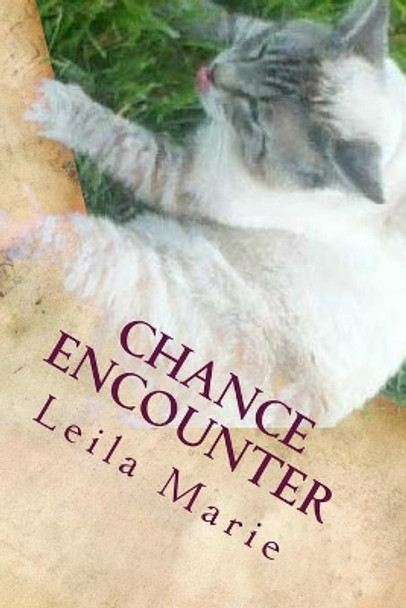 Chance Encounter: The Journey Emerald's Travels by Leila Marie 9781546673767