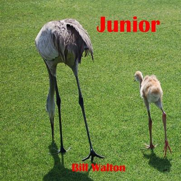 Junior by Bill Walton 9781545498965