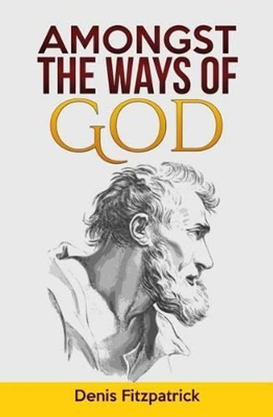 Amongst the Ways of God by Denis Fitzpatrick 9781514826379