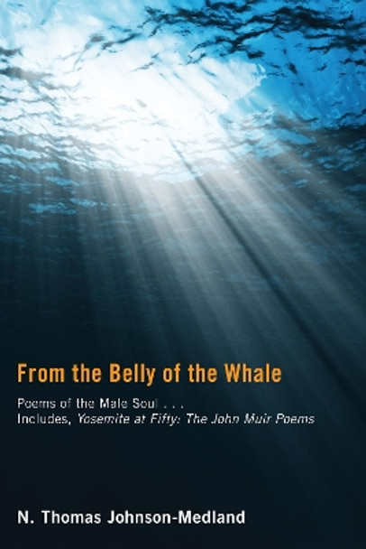 From the Belly of the Whale by N Thomas Johnson-Medland 9781610974158