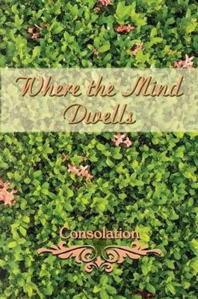 Where the Mind Dwells: Consolation by Eber & Wein 9781608804696