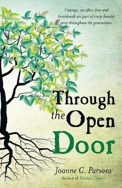 Through the Open Door by Joanne C Parsons 9781642372373