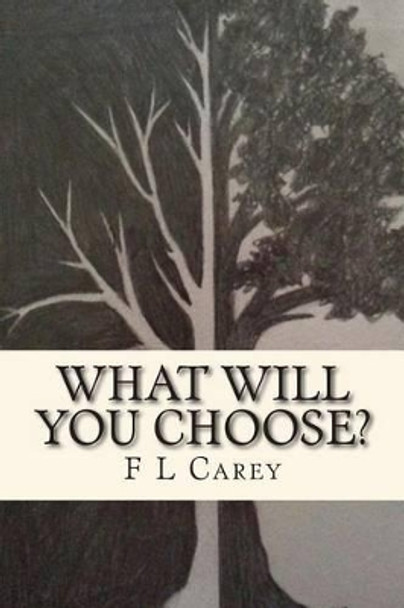 What Will You Choose? by F L Carey 9781497544147