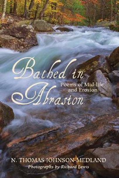 Bathed in Abrasion by N Thomas Johnson-Medland 9781498201278