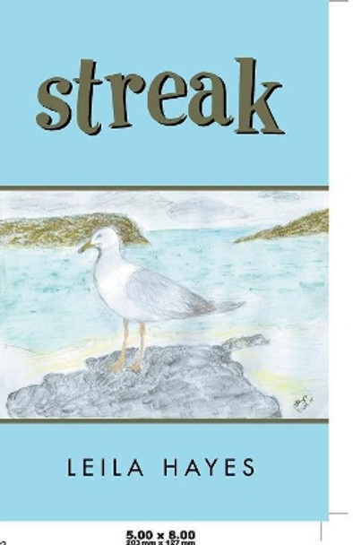 Streak by Leila Hayes 9781504314381