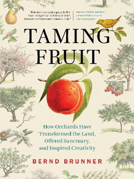 Taming Fruit: How Orchards Past and Present Have Transformed the Land, Offered Sanctuary, and Inspired Creativity by Bernd Brunner