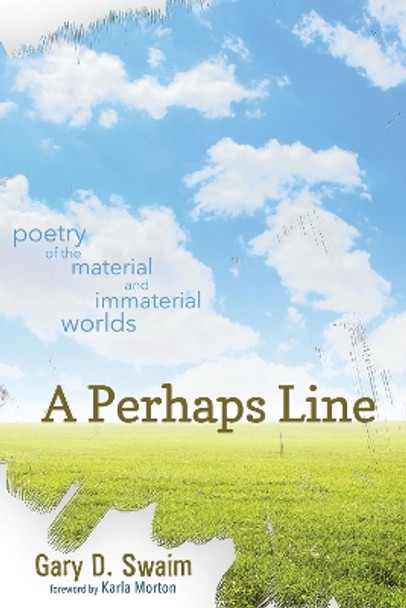 A Perhaps Line by Gary D Swaim 9781498204156