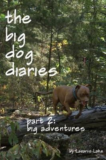 Big Adventures: The Big Dog Diaries by Betsy Julian 9781480028166