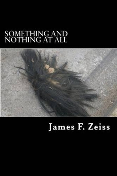 Something and Nothing at All by James F Zeiss 9781493556700