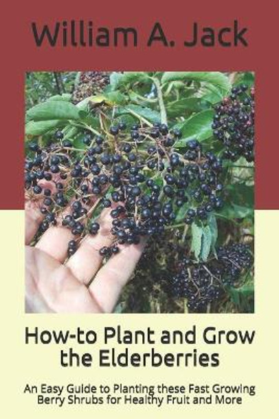 How-to Plant and Grow the Elderberries: An Easy Guide to Planting these Fast Growing Berry Shrubs for Healthy Fruit and More by William a Jack 9781704538327