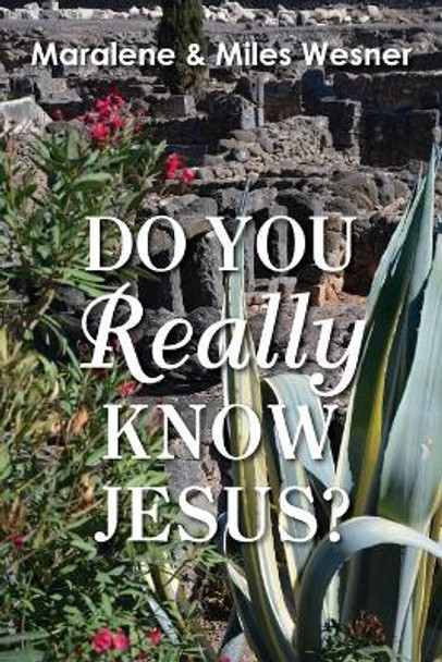 Do You Really Know Jesus? by Maralene Wesner 9781635281682