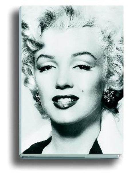 Silver Marilyn: Marilyn and the Camera by George Belmont