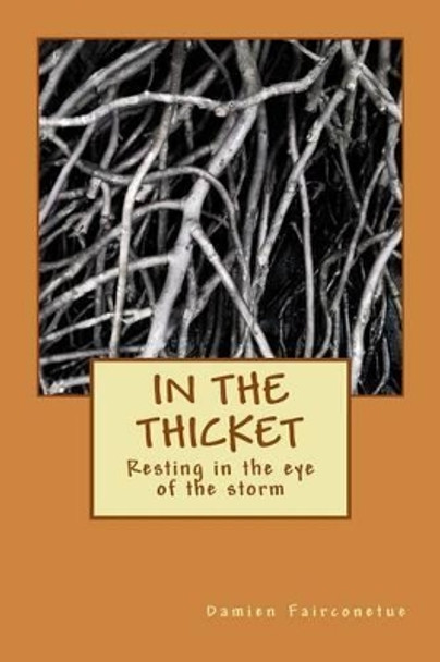 In the Thicket by Damien Ishamel Fairconetue 9781497532588