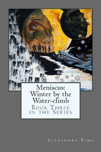 Meniscus: Winter by the Water-climb by Alexandra Tims 9781544818061