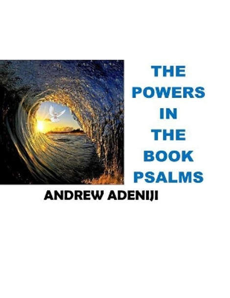 The Power In The Book Of Psalm: The Power In The Book by Andrew B Adeniji 9781542441919