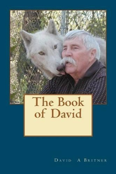 The Book of David by David A Britner 9781475293852