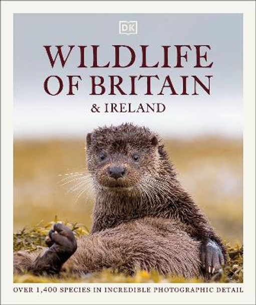 Wildlife of Britain and Ireland: The Definitive Visual Guide by DK