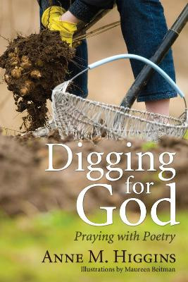 Digging for God by Anne M Higgins 9781608998074