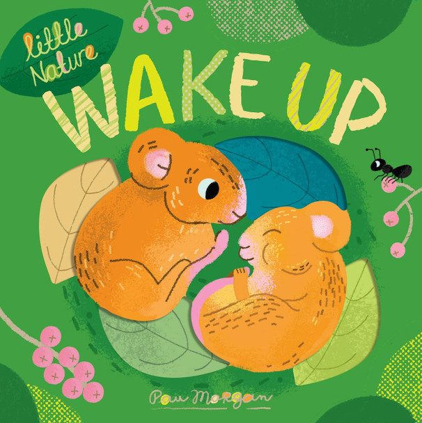 Wake Up by Isabel Otter