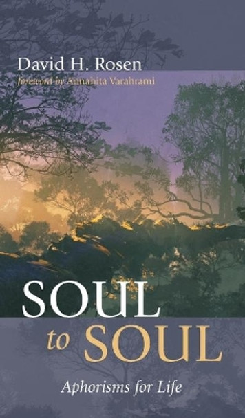 Soul to Soul by David H Rosen 9781725295728