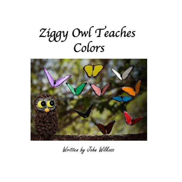 Ziggy Owl Teaches Colors by John Wilkosz 9781670482525