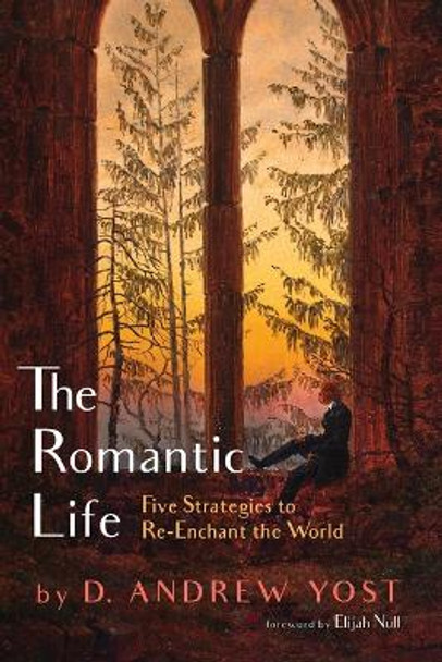 The Romantic Life by D Andrew Yost 9781666730135