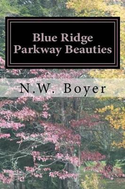 Blue Ridge Parkway Beauties: 2nd Edition by N W Boyer 9781539709176