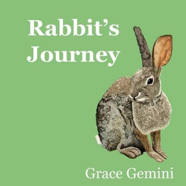 Rabbit's Journey by Betsy Riley 9781622200214