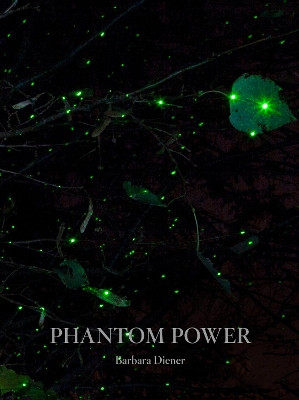 Phantom Power by Barbara Diener 9781942084457